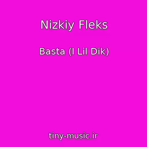 کاور آهنگ Nizkiy Fleks از Basta (I Lil Dik)