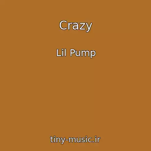 کاور آهنگ Crazy از Lil Pump