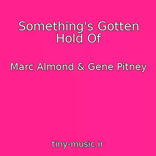 کاور آهنگ Something's Gotten Hold Of از Marc Almond & Gene Pitney