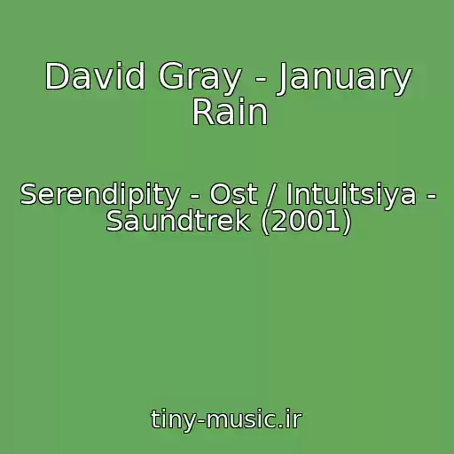 کاور آهنگ David Gray - January Rain از Serendipity - Ost / Intuitsiya - Saundtrek (2001)