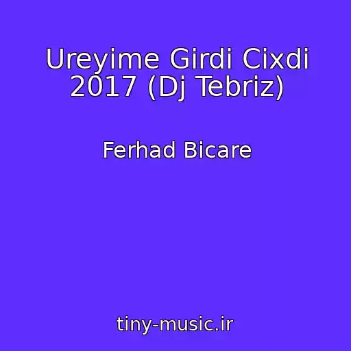 کاور آهنگ Ureyime Girdi Cixdi 2017 (Dj Tebriz) از Ferhad Bicare