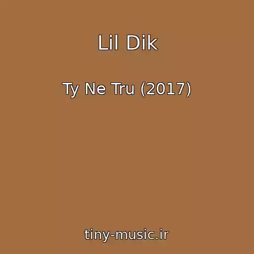 کاور آهنگ Lil Dik از Ty Ne Tru (2017)
