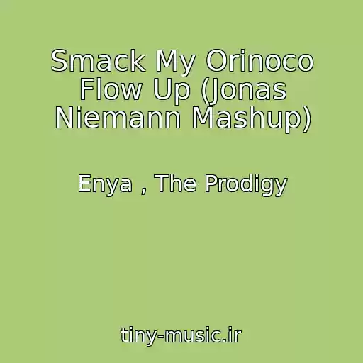 کاور آهنگ Smack My Orinoco Flow Up (Jonas Niemann Mashup) از Enya , The Prodigy