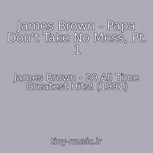 کاور آهنگ James Brown - Papa Don't Take No Mess, Pt. 1 از James Brown - 20 All Time Greatest Hits! (1991)