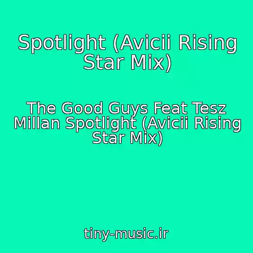 کاور آهنگ Spotlight (Avicii Rising Star Mix) از The Good Guys Feat Tesz Millan Spotlight (Avicii Rising Star Mix)