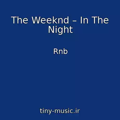 کاور آهنگ The Weeknd – In The Night از Rnb