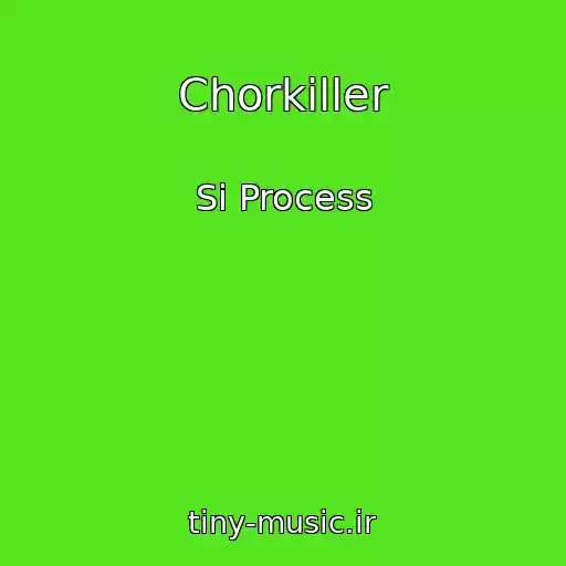 کاور آهنگ Chorkiller از Si Process
