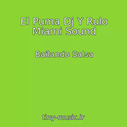 کاور آهنگ El Puma Dj Y Rulo Miami Sound از Bailando Salsa
