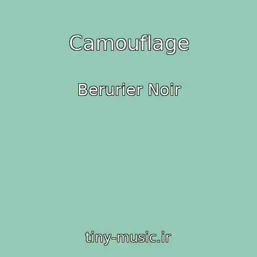 کاور آهنگ Camouflage از Berurier Noir