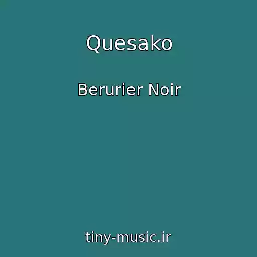 کاور آهنگ Quesako از Berurier Noir