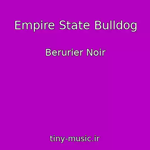 کاور آهنگ Empire State Bulldog از Berurier Noir