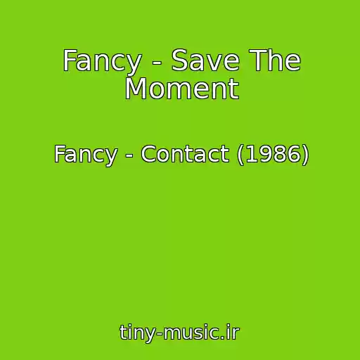 کاور آهنگ Fancy - Save The Moment از Fancy - Contact (1986)