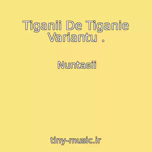 کاور آهنگ Tiganii De Tiganie Variantu . از Nuntasii