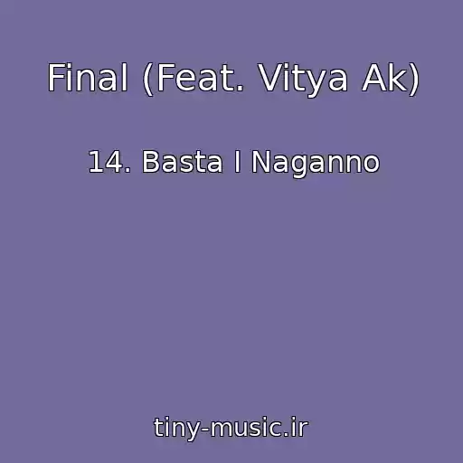 کاور آهنگ Final (Feat. Vitya Ak) از 14. Basta I Naganno