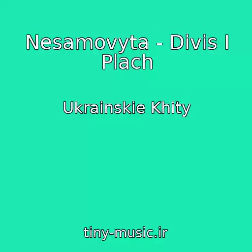 کاور آهنگ Nesamovyta - Divis І Plach از Ukrainskie Khity
