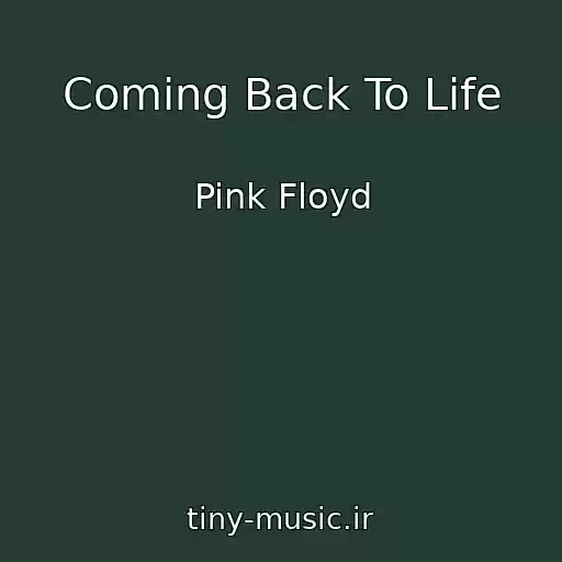 کاور آهنگ Coming Back To Life از Pink Floyd