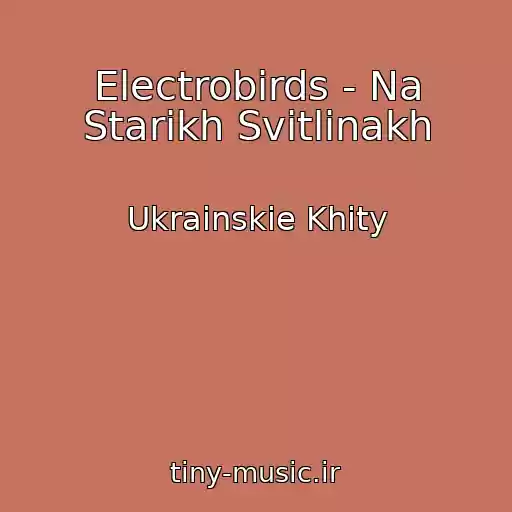 کاور آهنگ Electrobirds - Na Starikh Svіtlinakh از Ukrainskie Khity