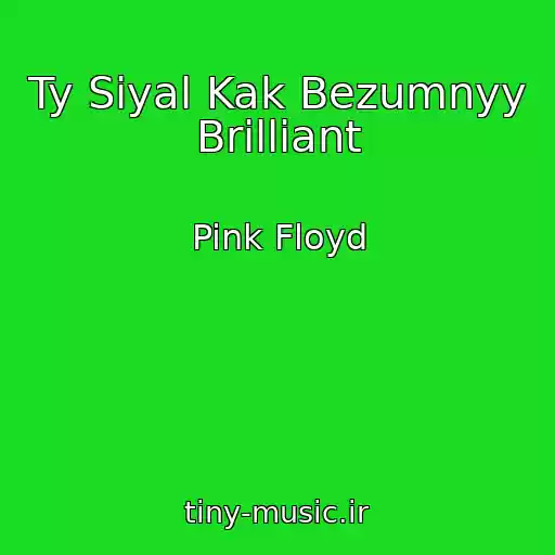 کاور آهنگ Ty Siyal Kak Bezumnyy Brilliant از Pink Floyd