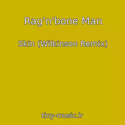 کاور آهنگ Rag'n'bone Man از Skin (Wilkinson Remix)