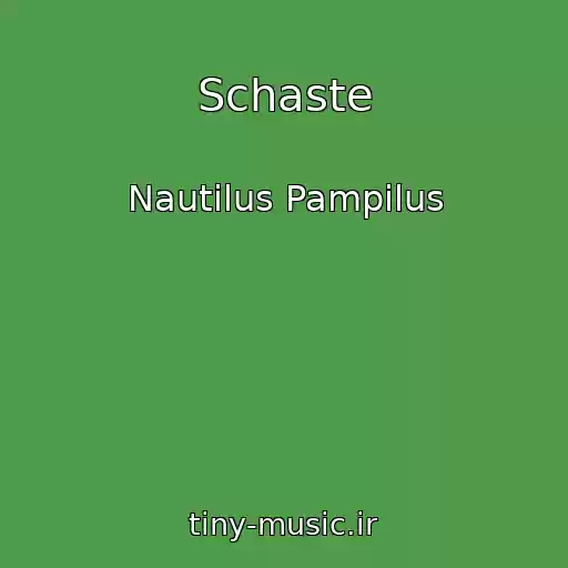 کاور آهنگ Schaste از Nautilus Pampilus