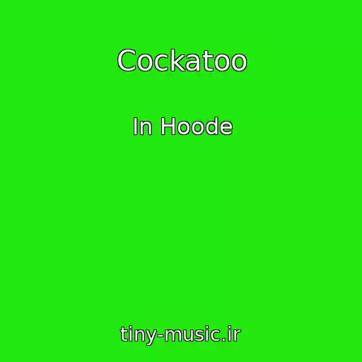 کاور آهنگ Cockatoo از In Hoode