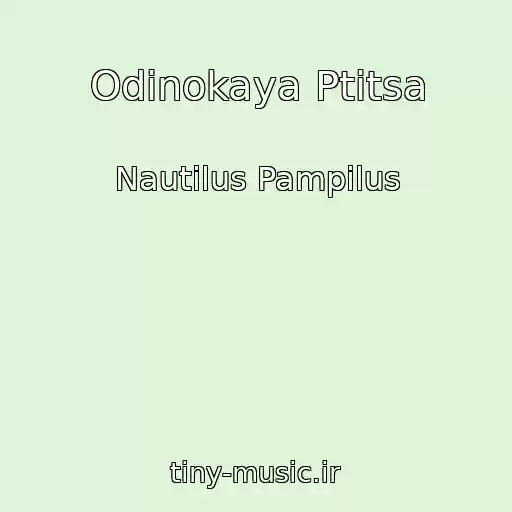 کاور آهنگ Odinokaya Ptitsa از Nautilus Pampilus