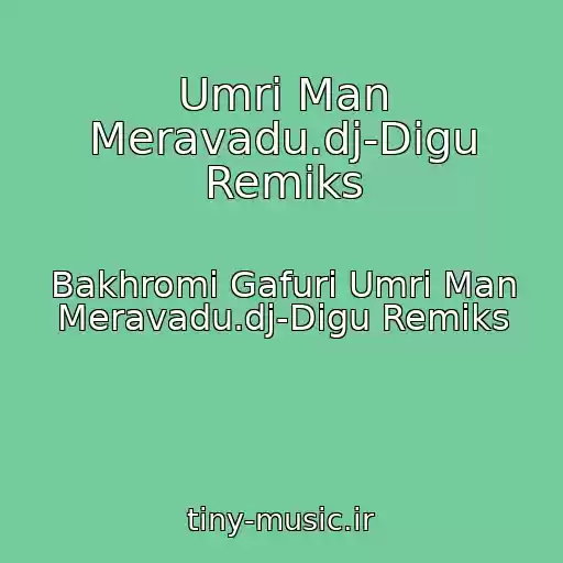 کاور آهنگ Umri Man Meravadu.dj-Digu Remiks از Bakhromi Gafuri Umri Man Meravadu.dj-Digu Remiks