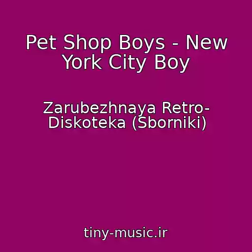 کاور آهنگ Pet Shop Boys - New York City Boy از Zarubezhnaya Retro- Diskoteka (Sborniki)