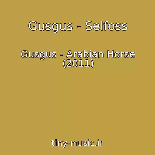 کاور آهنگ Gusgus - Selfoss از Gusgus - Arabian Horse (2011)