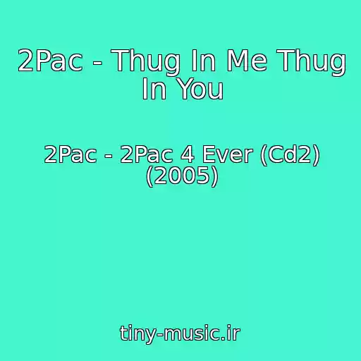 کاور آهنگ 2Pac - Thug In Me Thug In You از 2Pac - 2Pac 4 Ever (Cd2) (2005)