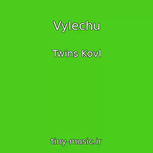 کاور آهنگ Vylechu از Twins Kovl