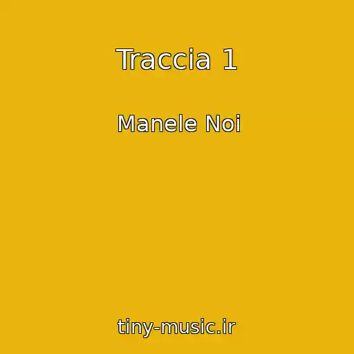 کاور آهنگ Traccia 1 از Manele Noi