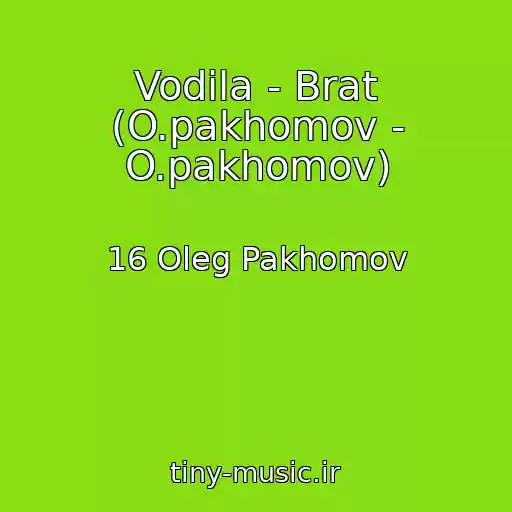 کاور آهنگ Vodila - Brat (O.pakhomov - O.pakhomov) از 16 Oleg Pakhomov