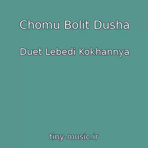 کاور آهنگ Chomu Bolit Dusha از Duet Lebedі Kokhannya