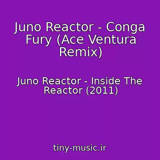 کاور آهنگ Juno Reactor - Conga Fury (Ace Ventura Remix) از Juno Reactor - Inside The Reactor (2011)