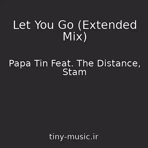 کاور آهنگ Let You Go (Extended Mix) از Papa Tin Feat. The Distance, Stam
