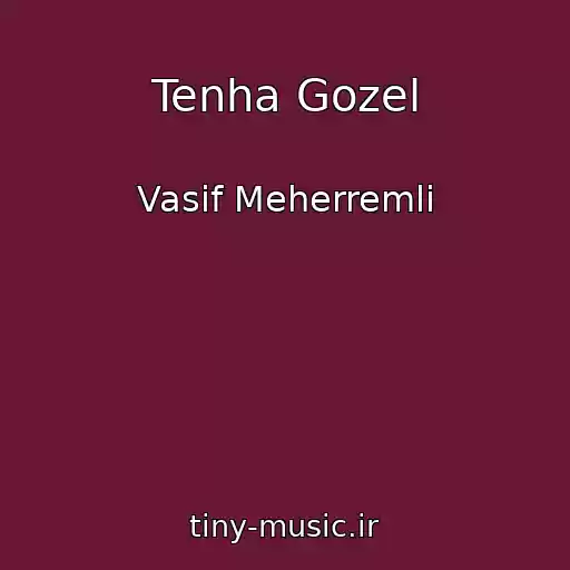 کاور آهنگ Tenha Gozel از Vasif Meherremli
