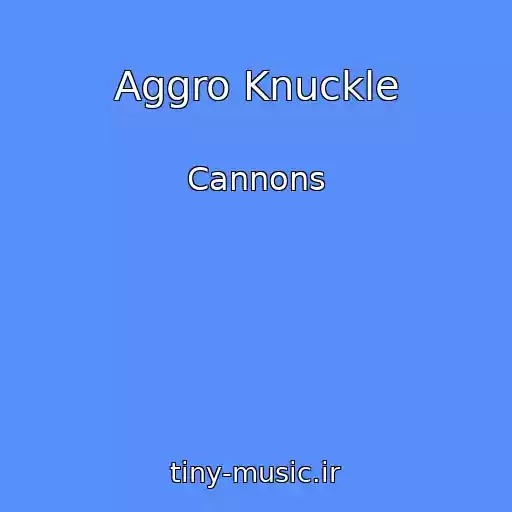 کاور آهنگ Aggro Knuckle از Cannons