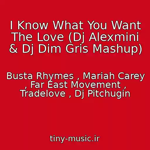 کاور آهنگ I Know What You Want The Love (Dj Alexmini & Dj Dim Gris Mashup) از Busta Rhymes , Mariah Carey , Far East Movement , Tradelove , Dj Pitchugin