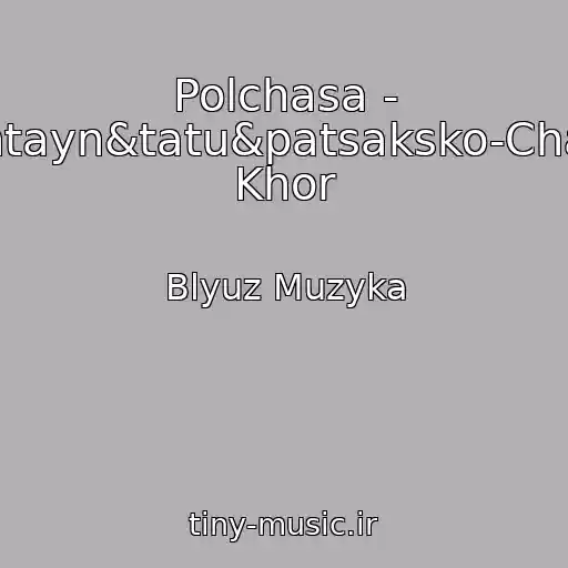 کاور آهنگ Polchasa - Rammshtayn&tatu&patsaksko-Chatlanskiy Khor از Blyuz Muzyka