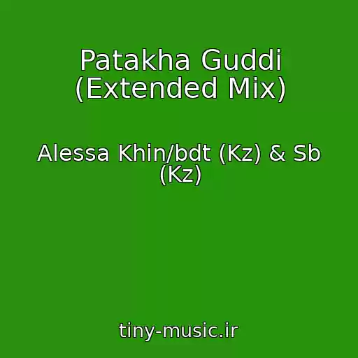 کاور آهنگ Patakha Guddi (Extended Mix) از Alessa Khin/bdt (Kz) & Sb (Kz)