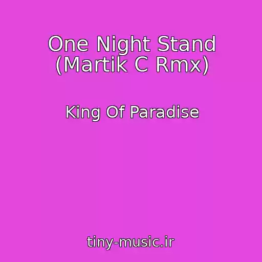 کاور آهنگ One Night Stand (Martik C Rmx) از King Of Paradise