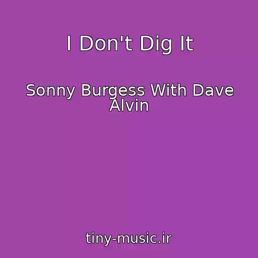 کاور آهنگ I Don't Dig It از Sonny Burgess With Dave Alvin