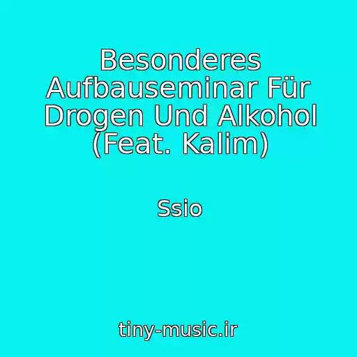 کاور آهنگ Besonderes Aufbauseminar Für Drogen Und Alkohol (Feat. Kalim) از Ssio
