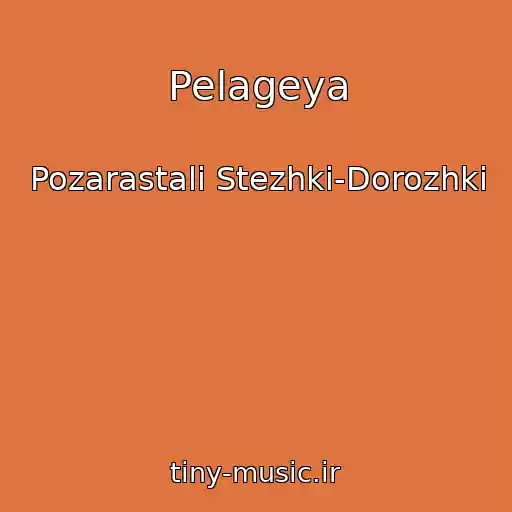 کاور آهنگ Pelageya از Pozarastali Stezhki-Dorozhki