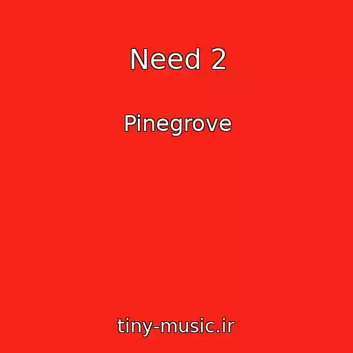 کاور آهنگ Need 2 از Pinegrove