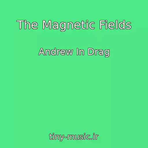 کاور آهنگ The Magnetic Fields از Andrew In Drag