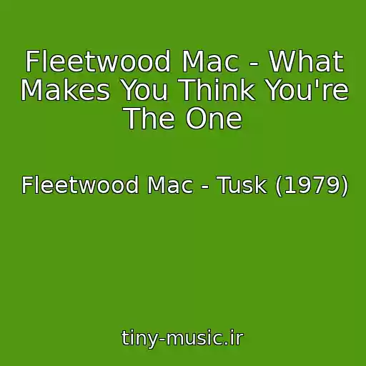 کاور آهنگ Fleetwood Mac - What Makes You Think You're The One از Fleetwood Mac - Tusk (1979)