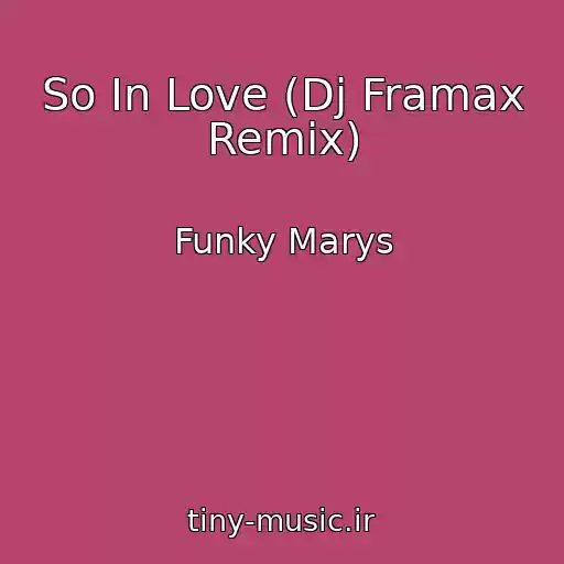 کاور آهنگ So In Love (Dj Framax Remix) از Funky Marys