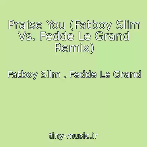 کاور آهنگ Praise You (Fatboy Slim Vs. Fedde Le Grand Remix) از Fatboy Slim , Fedde Le Grand